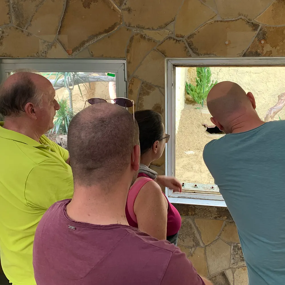 Kommentierte Tierfütterung