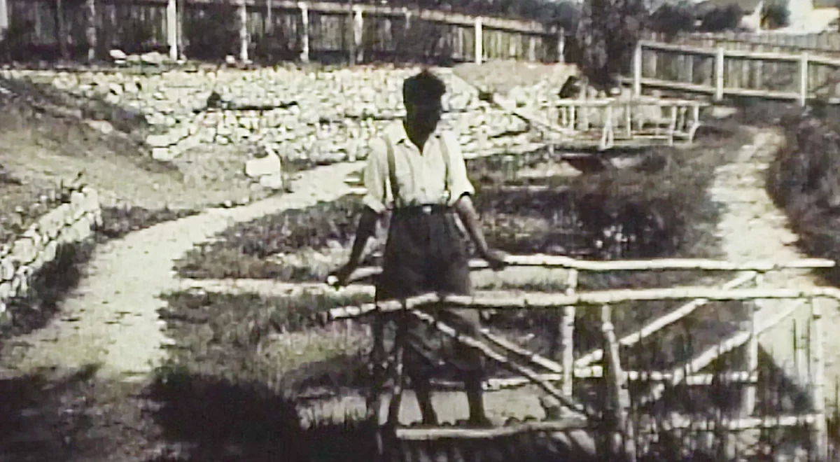 Die Freilandanlage entsteht