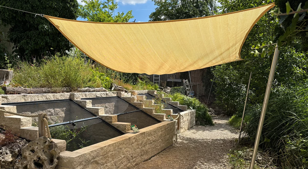 Insektenschutz & neue Bildungsprojekte