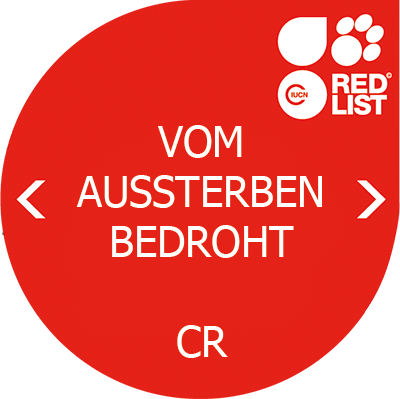 Bedrohungsstatus: CR