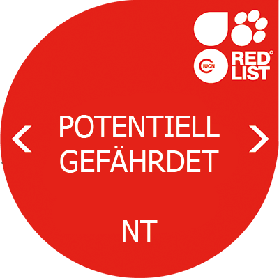 Bedrohungsstatus: NT