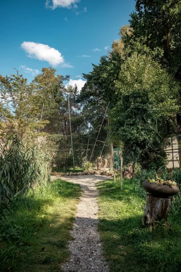 Weg Richtung Uhuvoliere