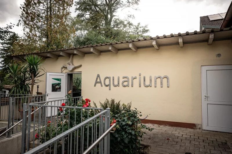 Aquariumhaus