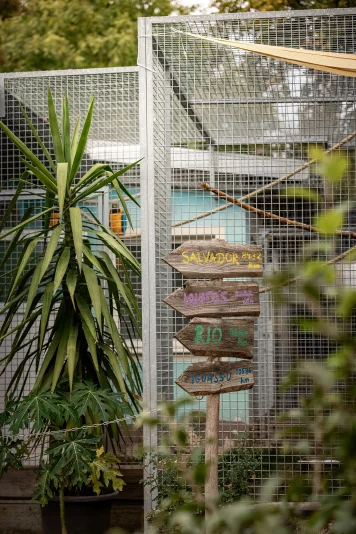 Blick auf die Südamerika Außenanlage