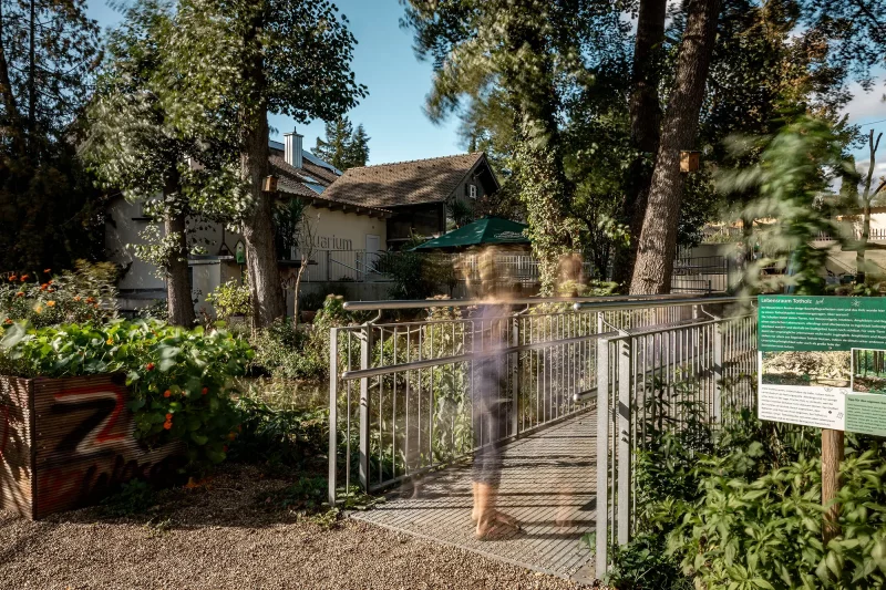 Brücke über die Schutter