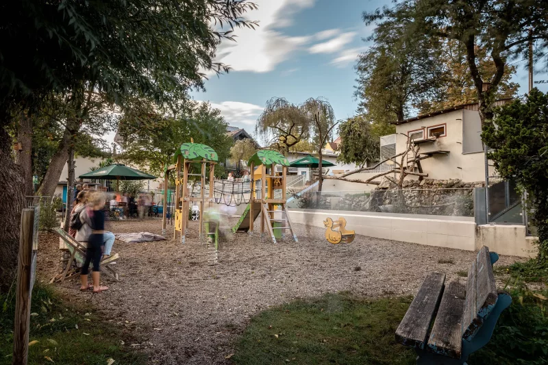 Blick auf den Kinderspielplatz und Waschbären