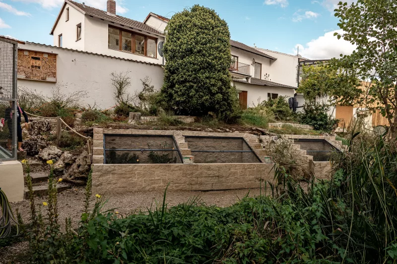 Insektengarten mit Freilandanlagen