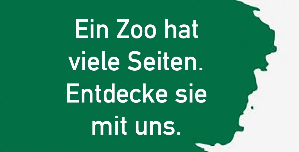 Bundesfreiwilligendienst im Zoo Wasserstern
